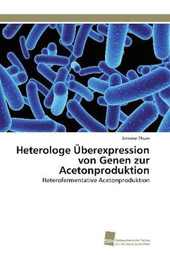 Heterologe Überexpression von Genen zur Acetonproduktion