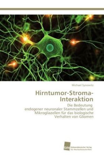 Hirntumor-Stroma-Interaktion Hirntumor-Stroma-Interaktion