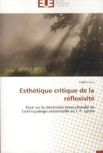 Esthétique critique de la réflexivité