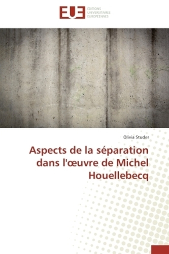 Aspects de la séparation dans l' uvre de Michel Houellebecq