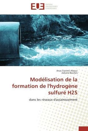 Modélisation de la formation de l'hydrogène sulfuré H2S