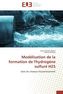 Modélisation de la formation de l'hydrogène sulfuré H2S