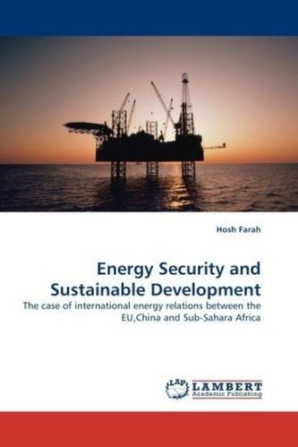 Energy Security and Sustainable Development