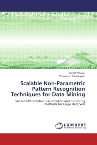 Scalable Non-Parametric Pattern Recognition Techniques for Data Mining