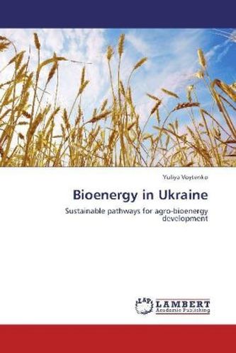 Bioenergy in Ukraine