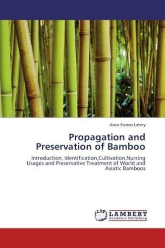 Propagation and Preservation of Bamboo