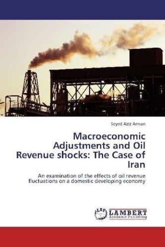Macroeconomic Adjustments and Oil Revenue shocks: The Case of Iran