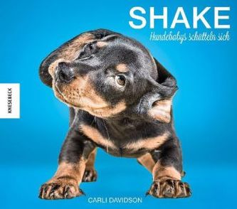 Shake - Hundebabys schütteln sich