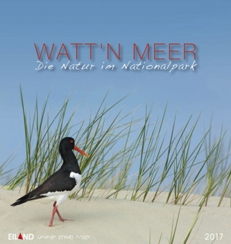Watt'n Meer... 2017