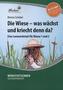Die Wiese - was wächst und kriecht denn da?, m. CD-ROM