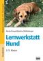 Lernwerkstatt Hund