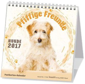 Pfiffige Freunde - Hunde 2017