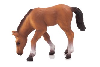 Mojo Animal Planet Kůň arabský hříbě krmící se