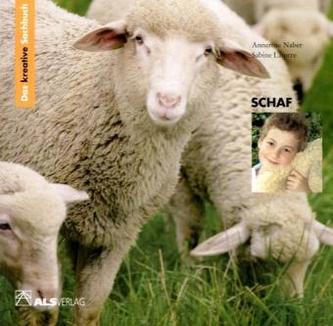 Schaf