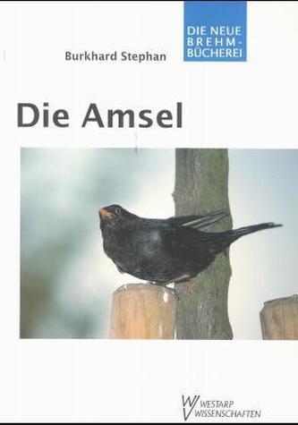 Die Amsel