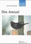 Die Amsel