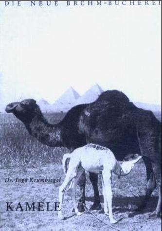 Kamele