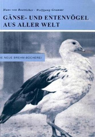 Gänse- und Entenvögel aus aller Welt