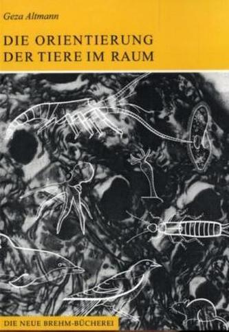 Die Orientierung der Tiere im Raum