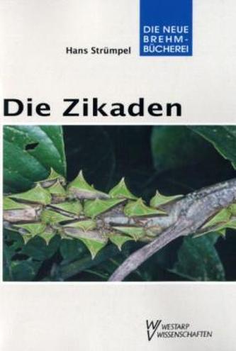 Die Zikaden