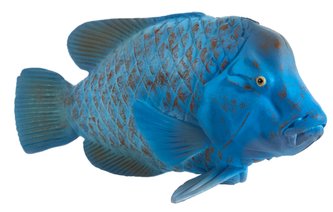 Mojo Animal Planet Groper modrý