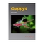 Guppys