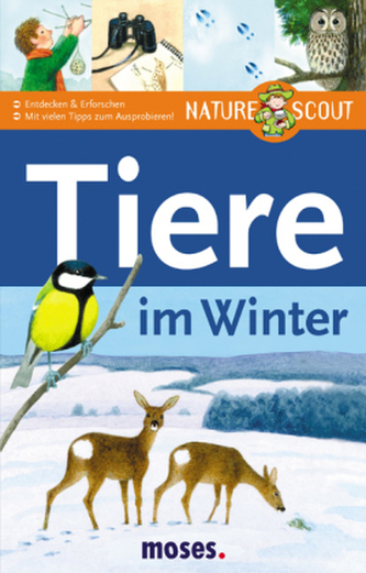 Tiere im Winter