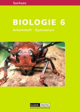 Klasse 6, Arbeitsheft