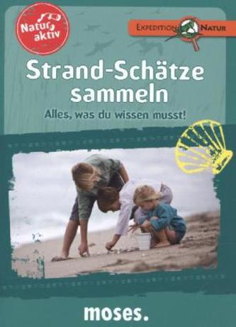 Natur aktiv: Strand-Schätze sammeln