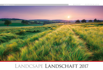 Landschaft / Landscape 2017
