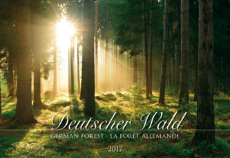 Deutscher Wald 2017
