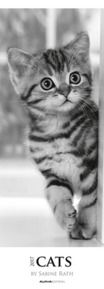 Cats 2017, Streifenkalender XXL