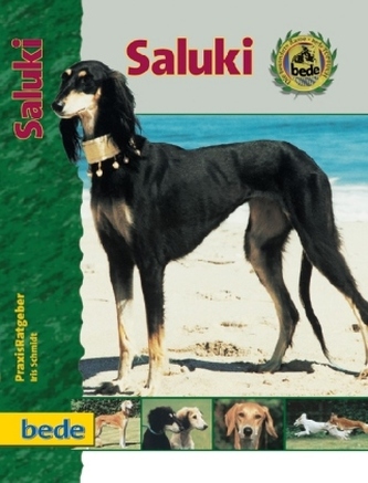 Saluki