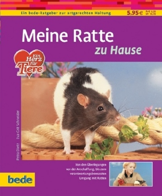 Meine Ratte zu Hause
