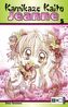Kamikaze Kaito Jeanne. Bd.5