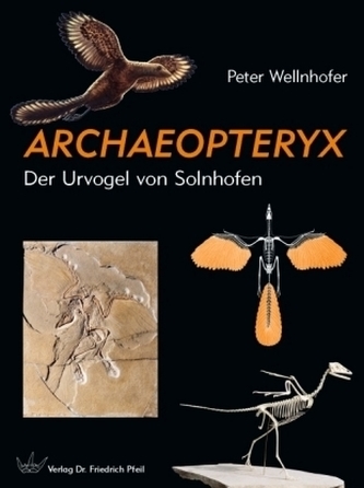 Archaeopteryx