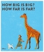 How Big Is Big? How Far is Far?