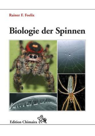 Biologie der Spinnen