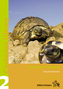 Hermann's Tortoise