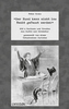 'Der Hund kann nicht ins Recht gefasst werden'