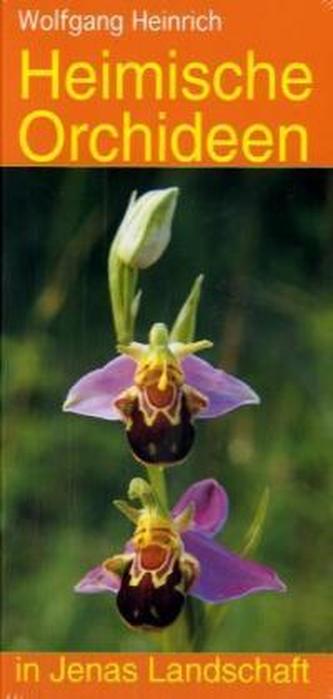 Heimische Orchideen in Jenas Landschaft