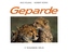 Geparde