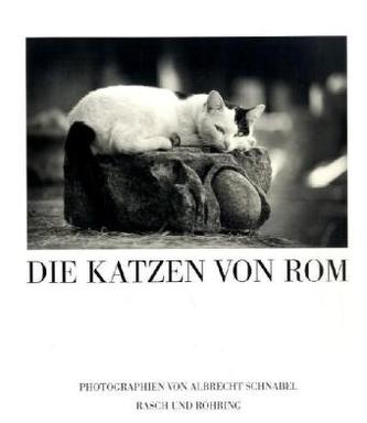 Die Katzen von Rom
