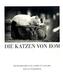 Die Katzen von Rom