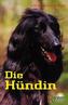 Die Hündin