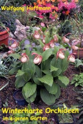Winterharte Orchideen im eigenen Garten