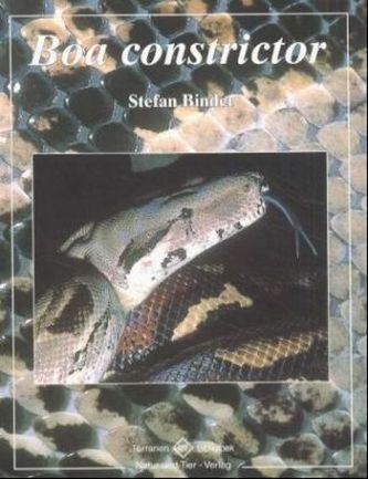 Boa constrictor