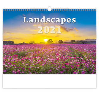 Kalendář 2021 nástěnný: Landscapes, 450x315