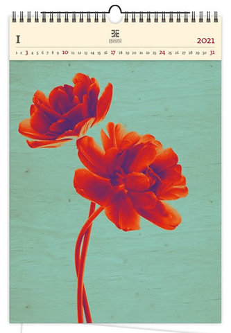 Kalendář 2021 dřevěný: Tulip, 240x370