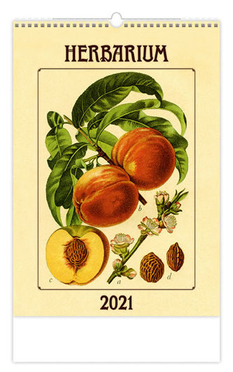 Kalendář 2021 nástěnný: Herbarium, 315x450